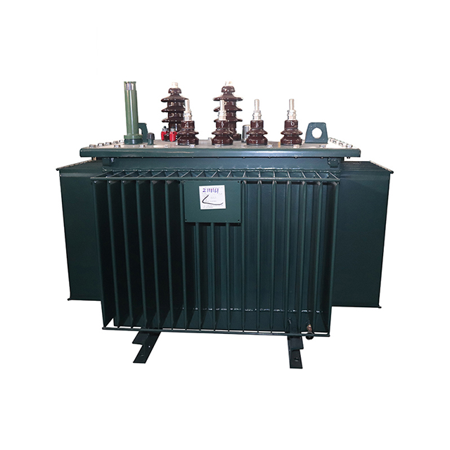 S11 63kVA 10kV 400V Delta Bağlantı 3 Fazlı Yağlı Tamamen Kapalı Dağıtım Trafosu