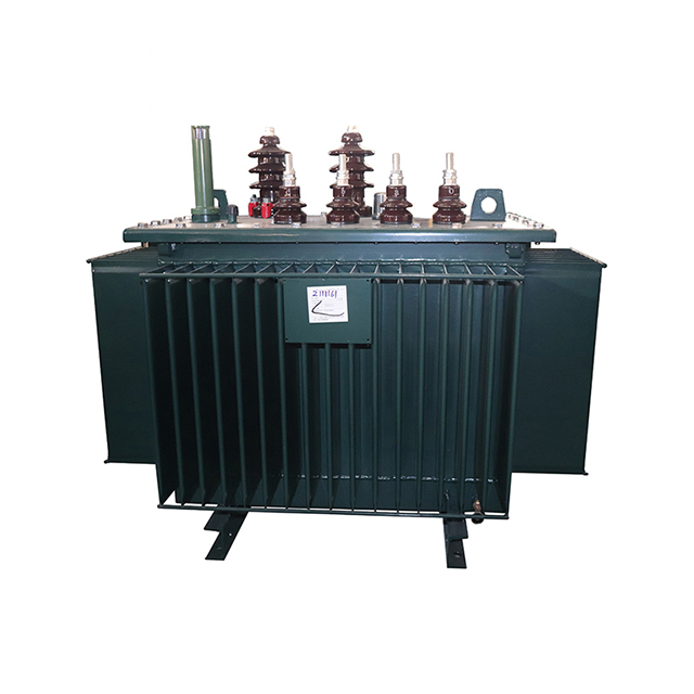 S11 160kVA 10kV 400V Özel Üç Fazlı Yağlı Dağıtım Transformatörü Üreticisi